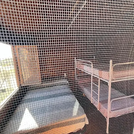 Spacious With Pool Near The In Alicante