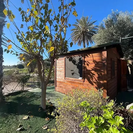 Villa Spacious With Pool Near The In Alicante